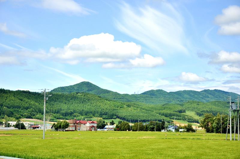 【樱花 美食美景】日本本州北海道7日