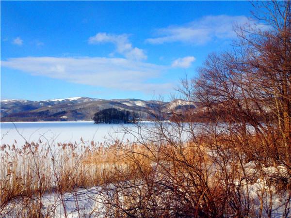 4钻-东京北海道-东京北海道函馆双温泉半自助-7天游