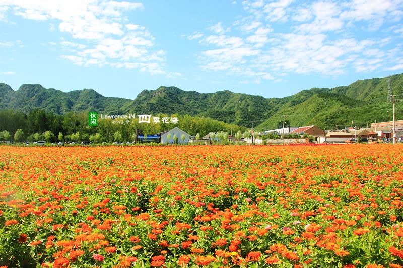 北戴河承德乌兰布统草原6日跟团游C1线 高铁往返特价纯玩 H河北
