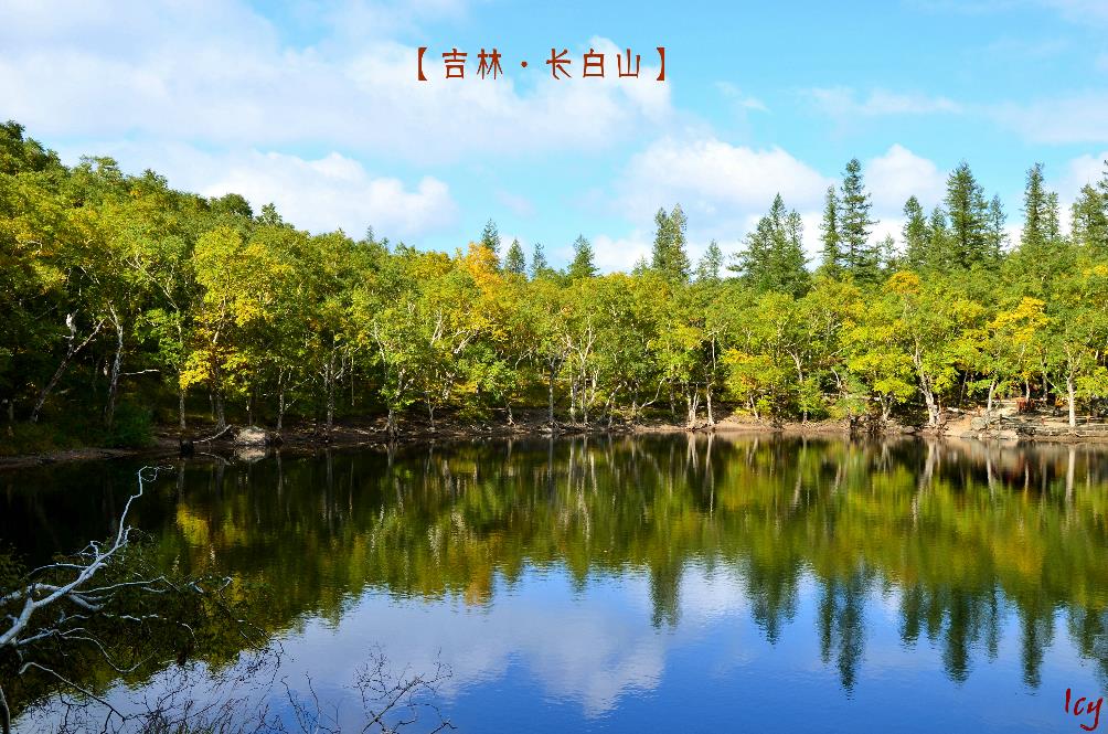 长春+吉林+长白山双飞5日跟团游 X东北
