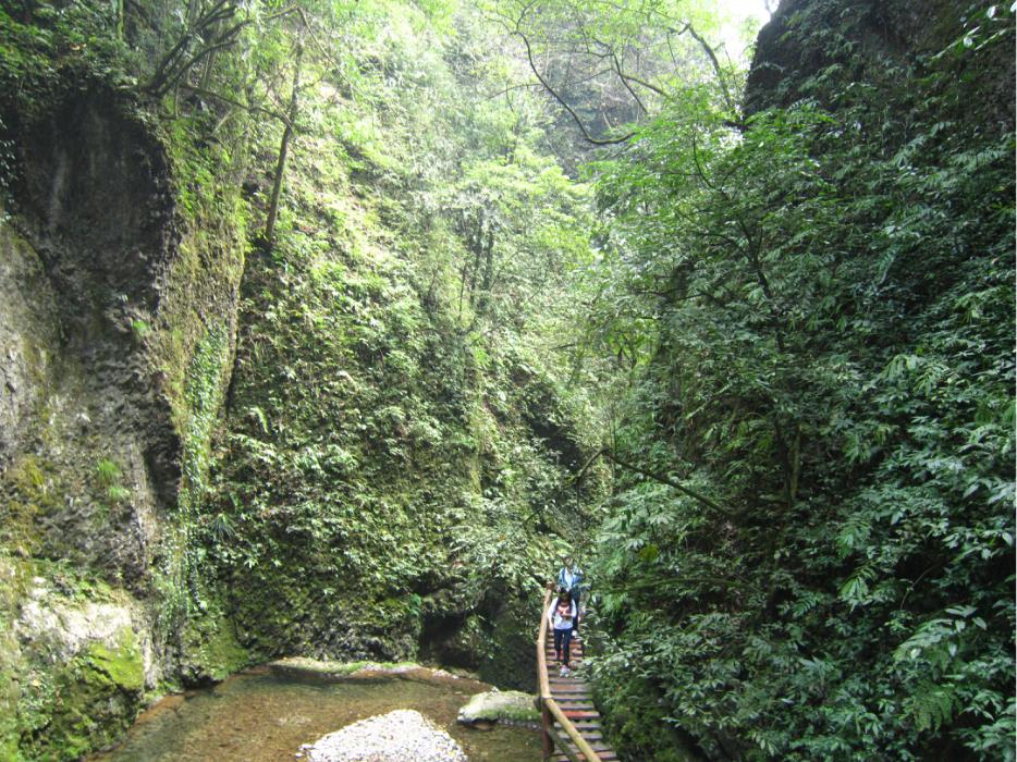 成都+都江堰+九寨沟+黄龙双飞6天跟团游 M四川