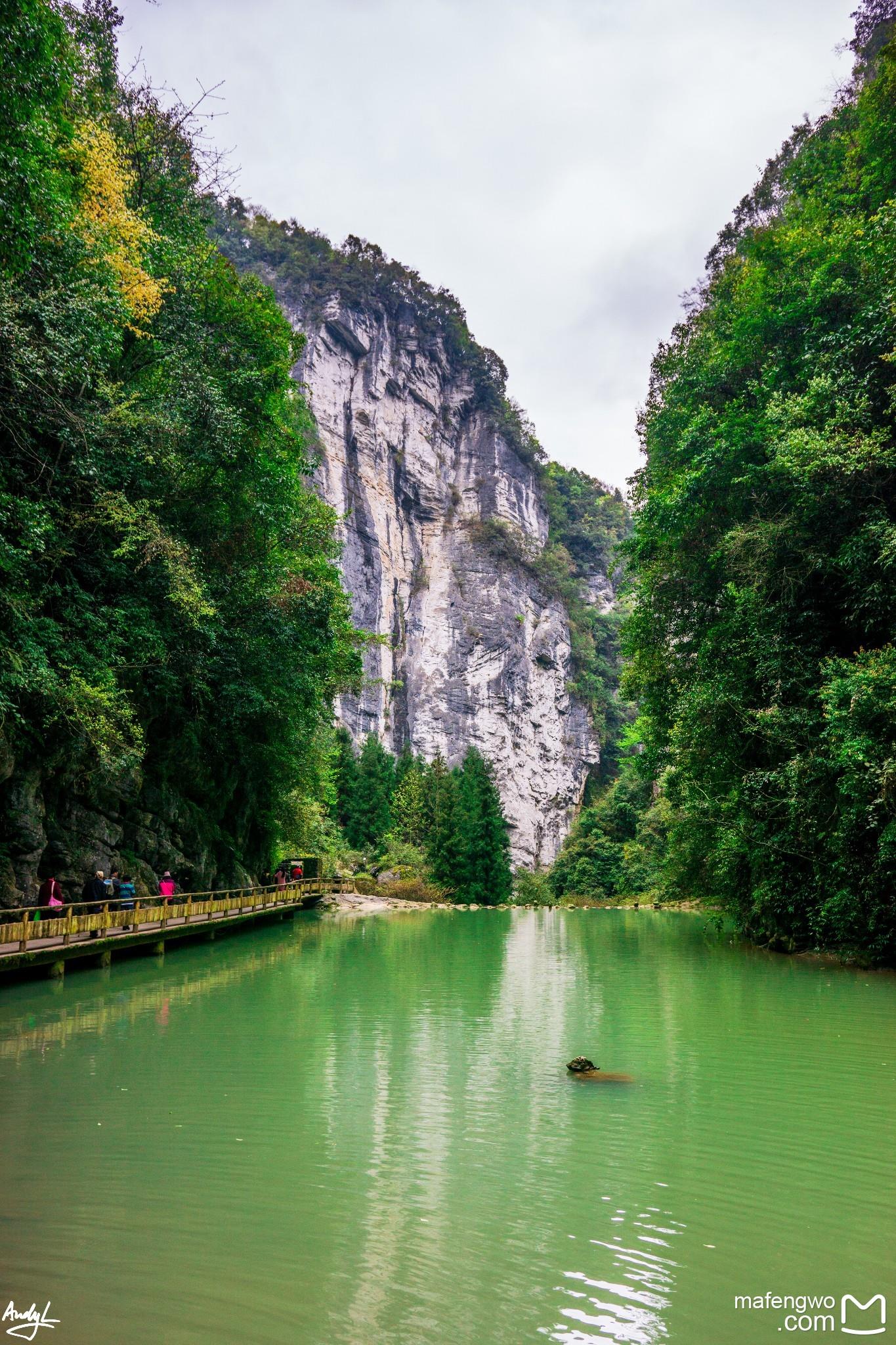 【探秘渝东南·寻访娇阿依】山城的夜景，不负千里迢迢的旅游 重庆首选行程 双飞5日游