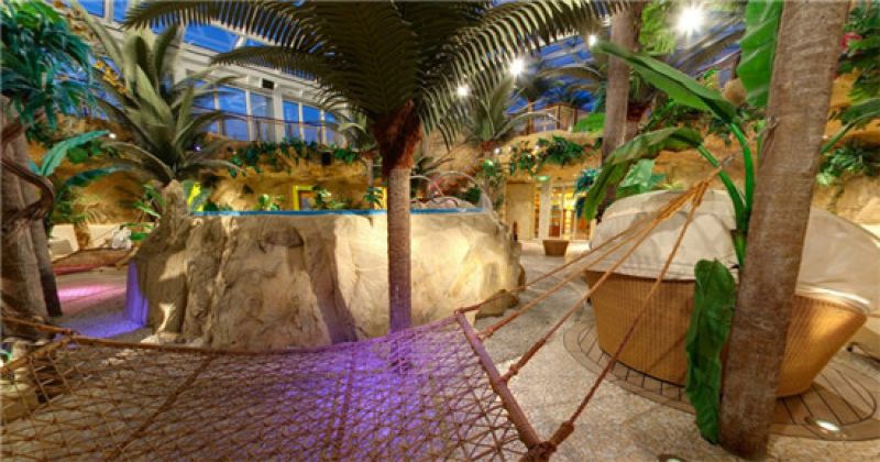 Wellness Oasis