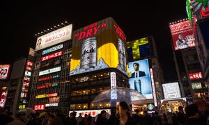4钻-日本本州-繁花乐园6日游 | 双城双自由 多玩法 | 双古都半自助 | 纯玩