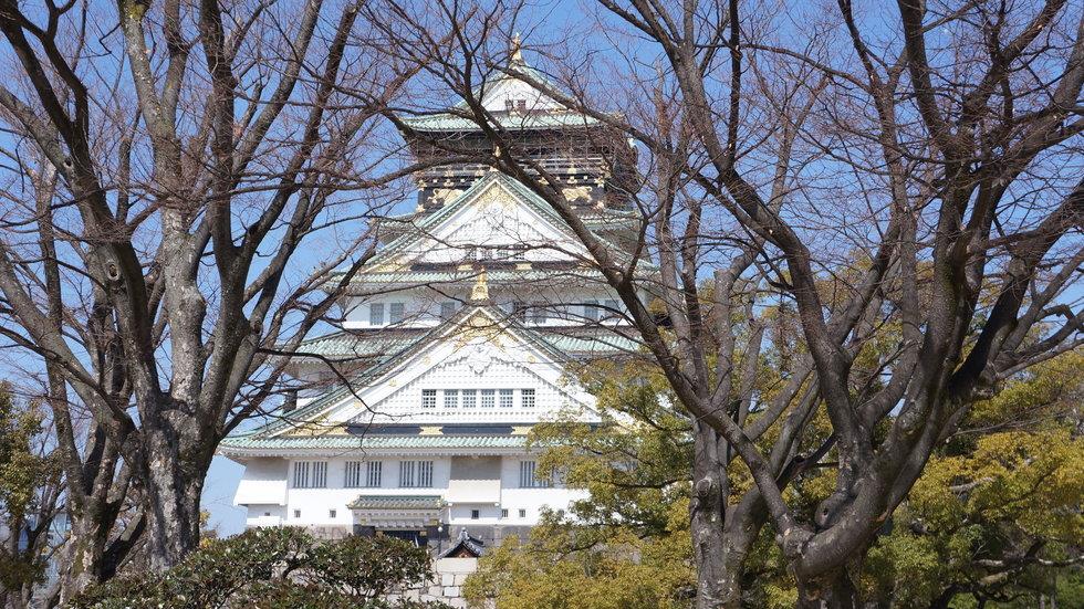 4钻-日本本州-繁花乐园6日游 | 双城双自由 多玩法 | 双古都半自助 | 纯玩