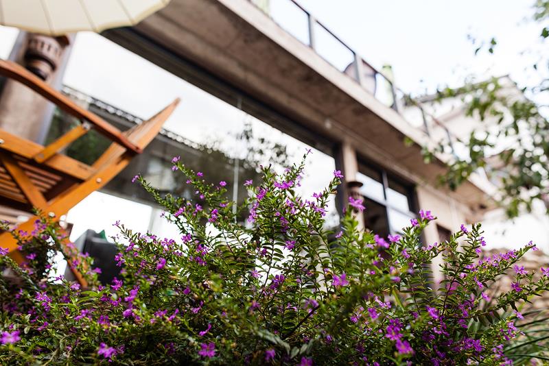 【秘境花开】巍山古城·无量山樱花谷·临沧·沧源·翁丁·弥渡5晚6天
