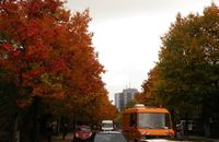 德法瑞意+卢森堡+莫奈花园10 晚 12 天