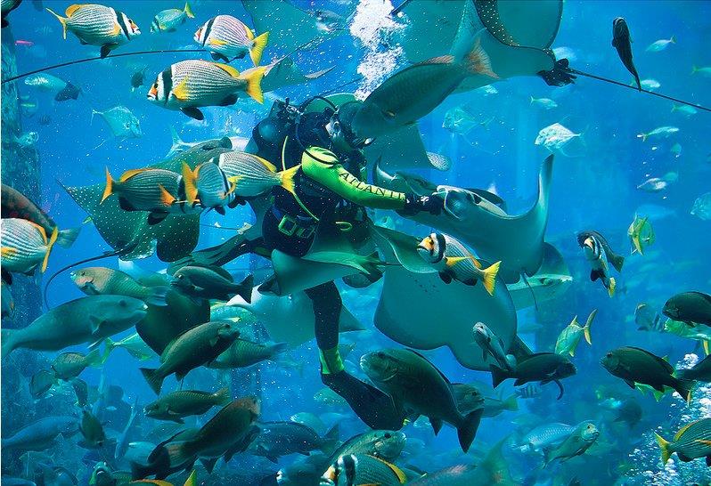 失落的空间水族馆