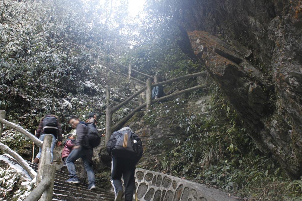 磁器口+渣滓洞+白公馆+峨眉山+乐山+都江堰双飞6日跟团游 M四川