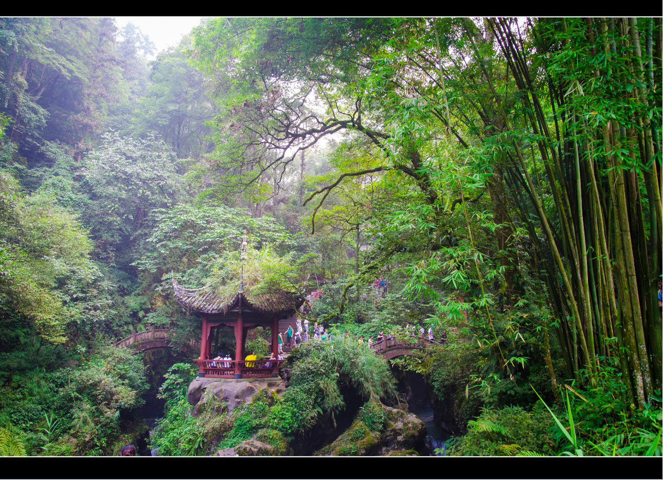 成都+乐山+峨眉山+青都+重庆+武隆卧动9日跟团游 佛说武遗 W四川