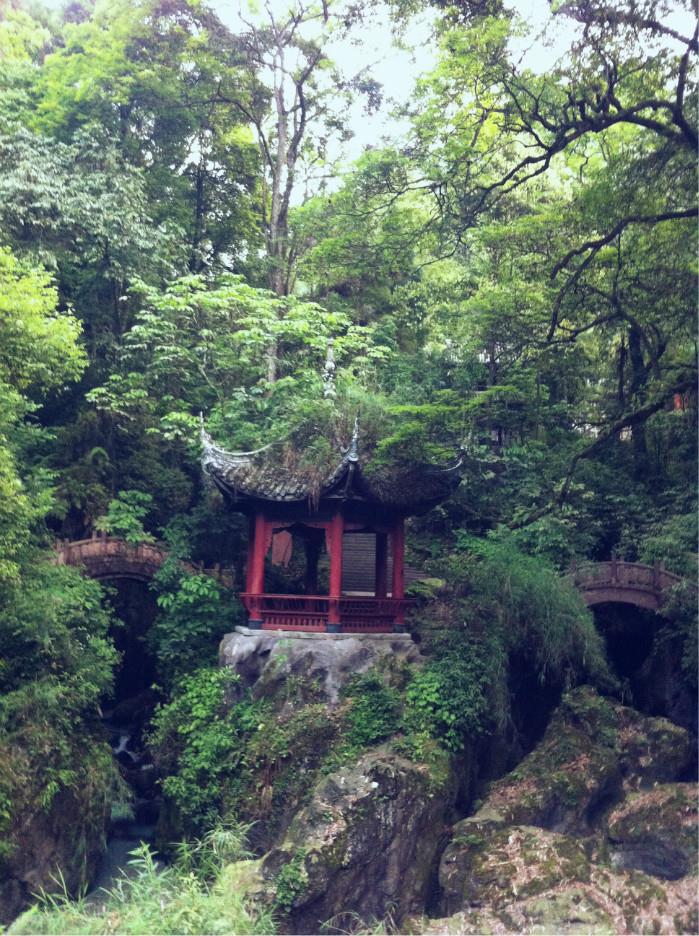 成都+峨眉山+乐山+宽窄+都江堰双动7日跟团游 爸妈童趣游 L四川
