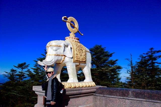 成都+熊猫基地+都江堰+黄龙+九寨沟+乐山+峨眉双飞8日跟团游W四川
