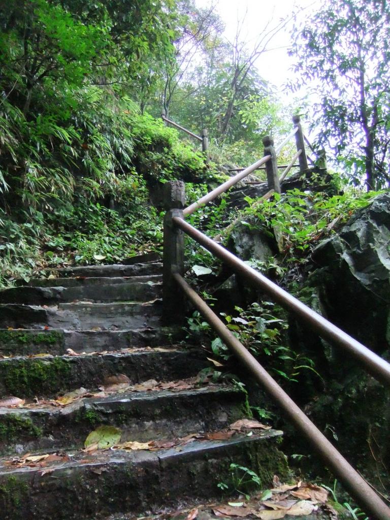 【梵行四季】黄果树+小七孔+西江+镇远+梵净山 | 贵州双卧8日/双飞6日游