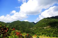 【窗外即霞浦】四晚连住维也纳国际-双动5日游