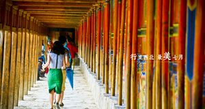 【直飞陇南-一价全含】洛克之路+莲宝叶则+扎尕那深度8日游