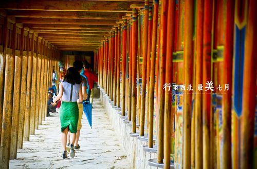 【直飞陇南-一价全含】洛克之路+莲宝叶则+扎尕那深度8日游