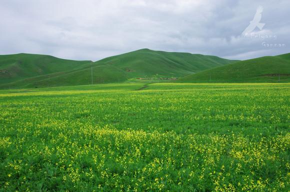 【陇南+甘南+川西】深度全景大环线双飞8日游