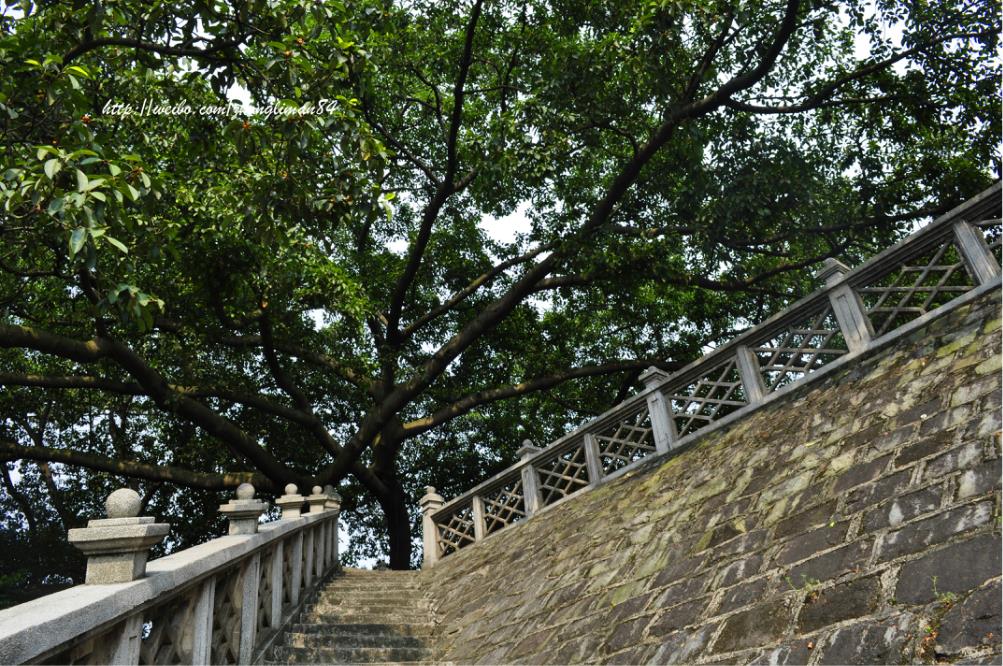 《帝道潮汕遇上五星巽寮湾》潮汕+南澳岛+巽寮湾纯玩双飞6日