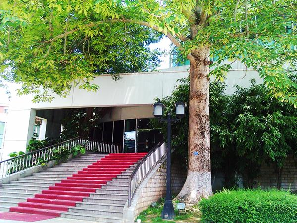 厦门大学+环岛路+曾厝垵+鼓浪屿+云水谣双飞5日游 XG厦门