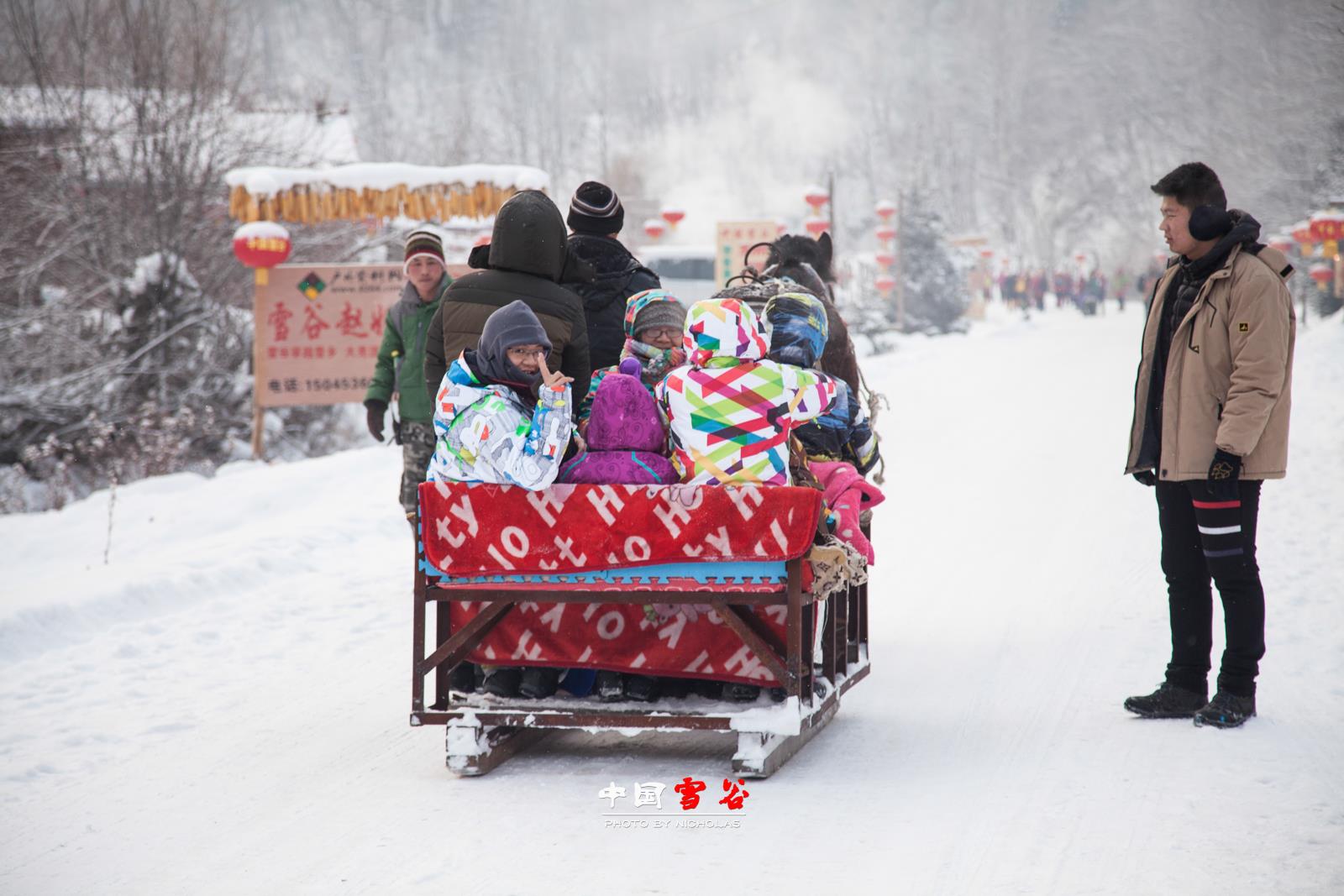 哈尔滨+亚布力+雪乡越野穿越+冰雪画廊+威虎寨双飞6日跟团游 B东北