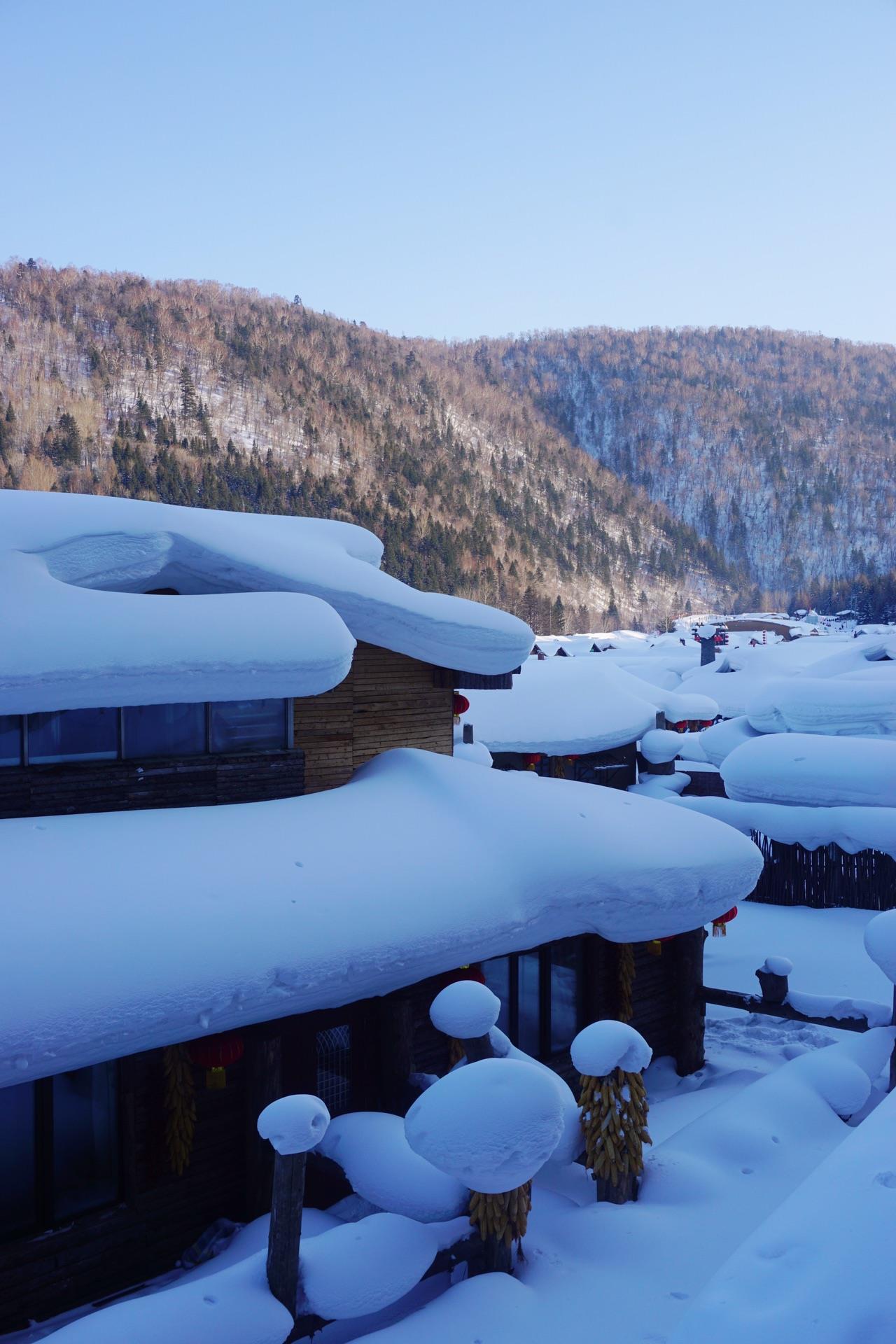 【雪遇冰雪】哈尔滨+中国雪乡+亚布力+雪地观雀+亚布力冰凌谷+中央大街双飞5日游