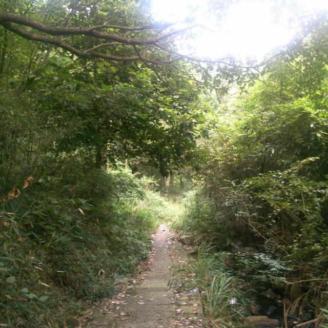 苏州狮子林+乌镇+无锡3日 纯玩(不含雷飞） 跟团游 LN苏州
