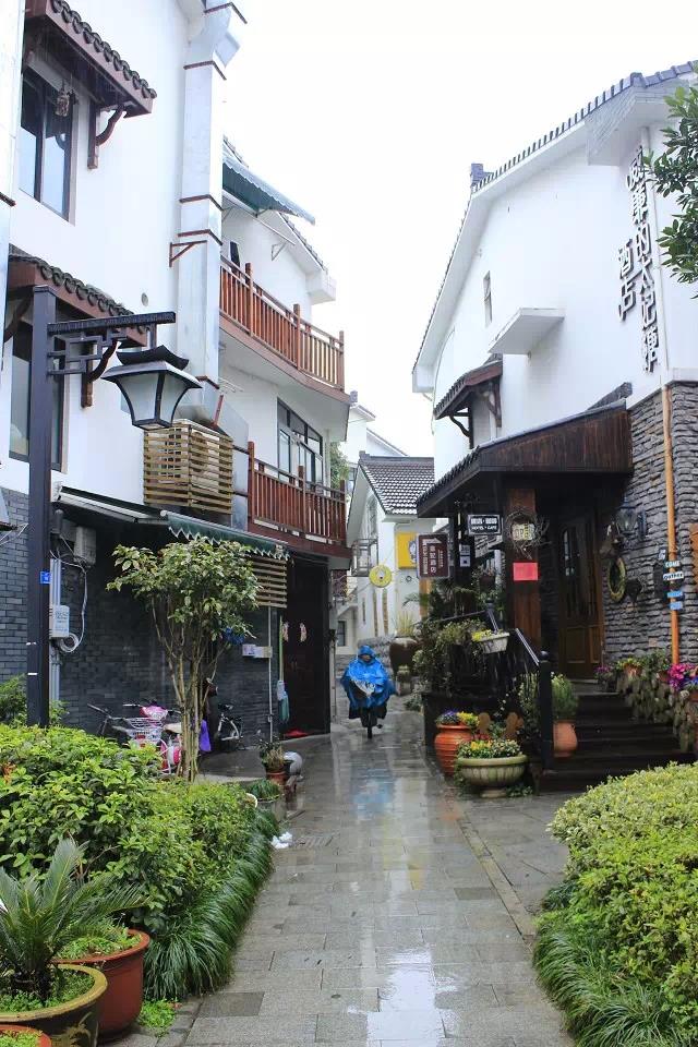杭州登雷峰塔苏州狮子林、南京纯玩三日跟团游 LN杭州