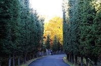 【穿越东北极】纵横两极/呼伦贝尔大草原/大小兴安岭  双卧15日