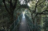 【澳大利亚11天·五星纵贯观鲸旅】