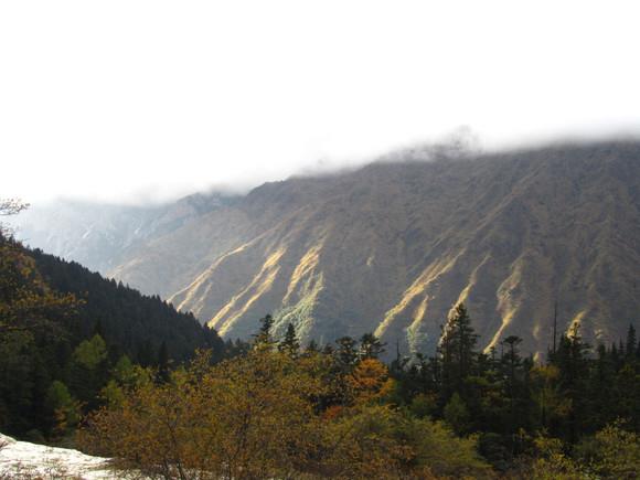 九寨沟+黄龙+都江堰+峨眉山+乐山+黄龙溪全景双动8日跟游 M四川