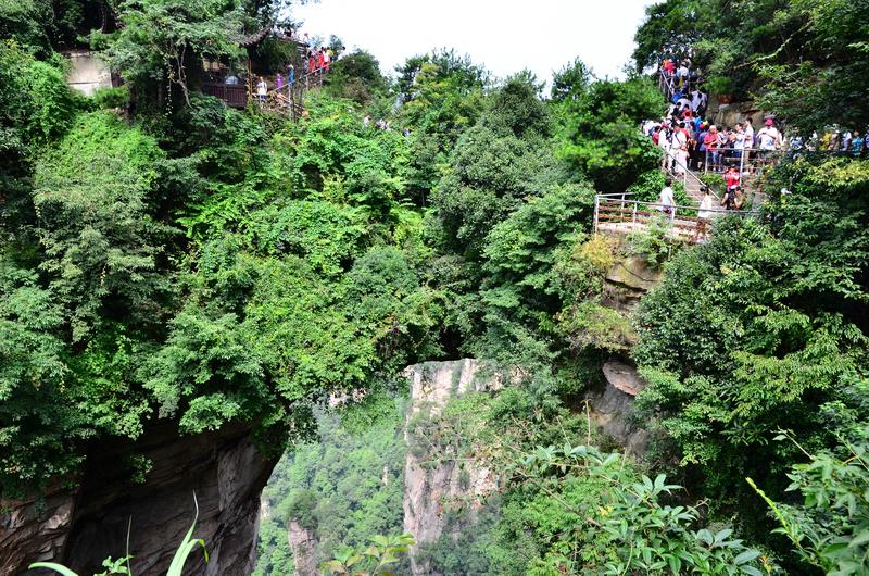 《不带钱包的旅行》长沙+韶山+张家界+凤凰双卧6日游/双高5日游
