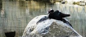 『苗韵湘西北』湘西北深度之旅，铜仁/怀化进出，双飞6日游