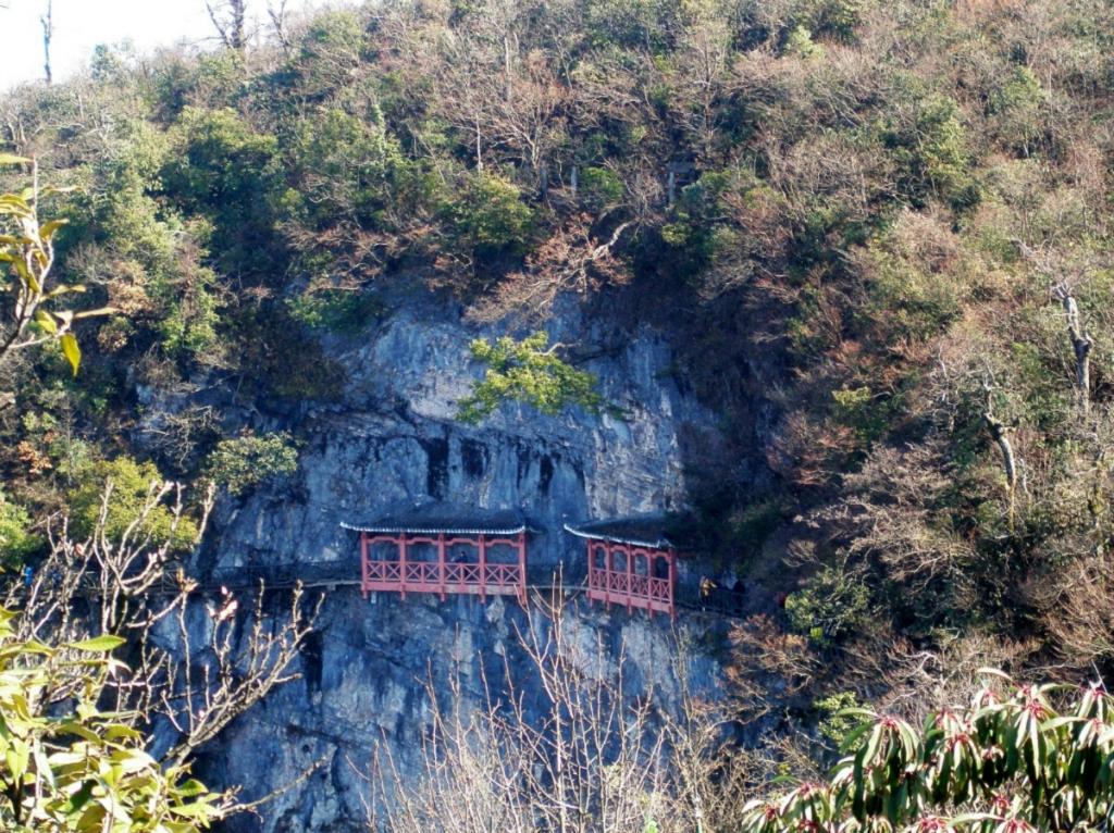 『张家界云巅48小时』直飞凤凰机场·双飞6日