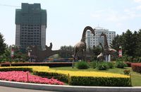 【巨划算的海参崴】长春+珲春+海参崴 双卧8日游