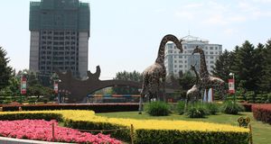 【巨划算的海参崴】长春+珲春+海参崴 双卧8日游