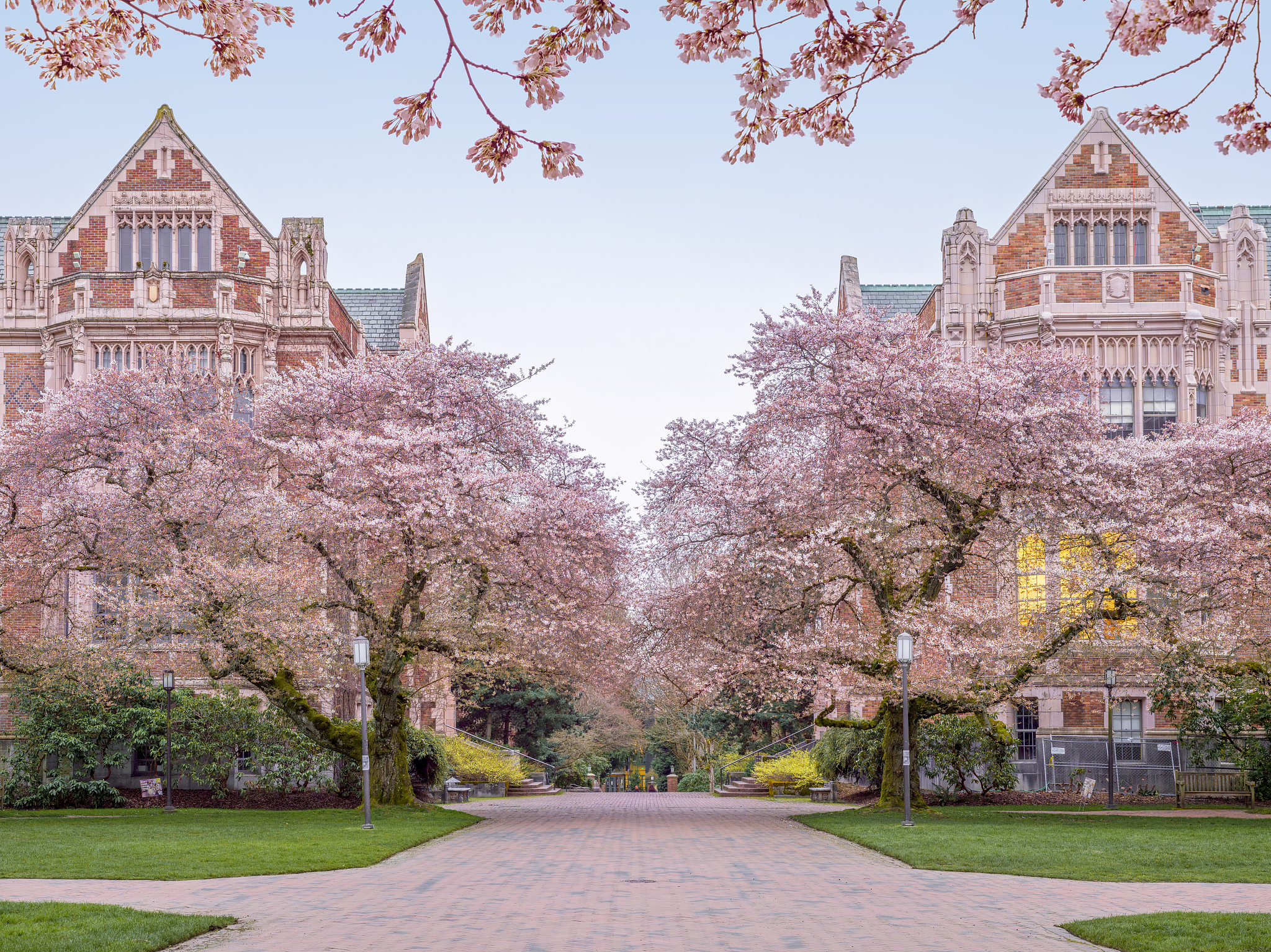 华盛顿大学