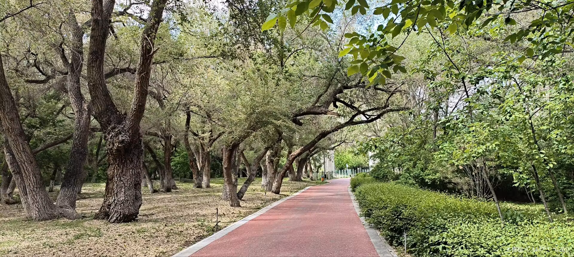 燕尔窝风景区