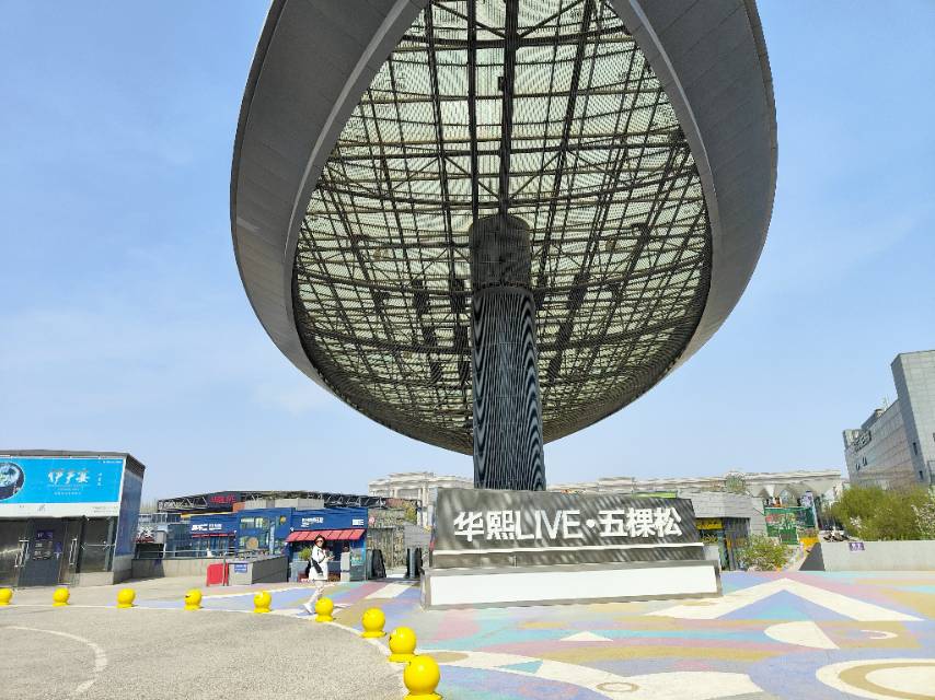 五棵松