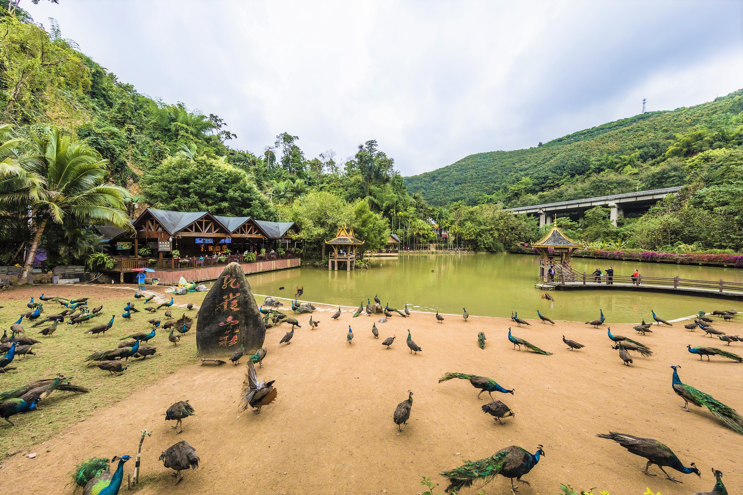 孔雀山庄