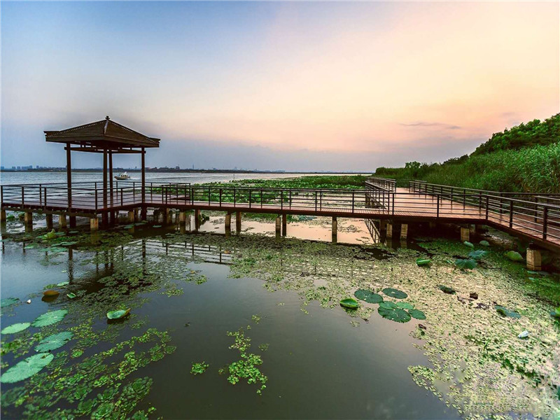 阳澄湖莲花岛