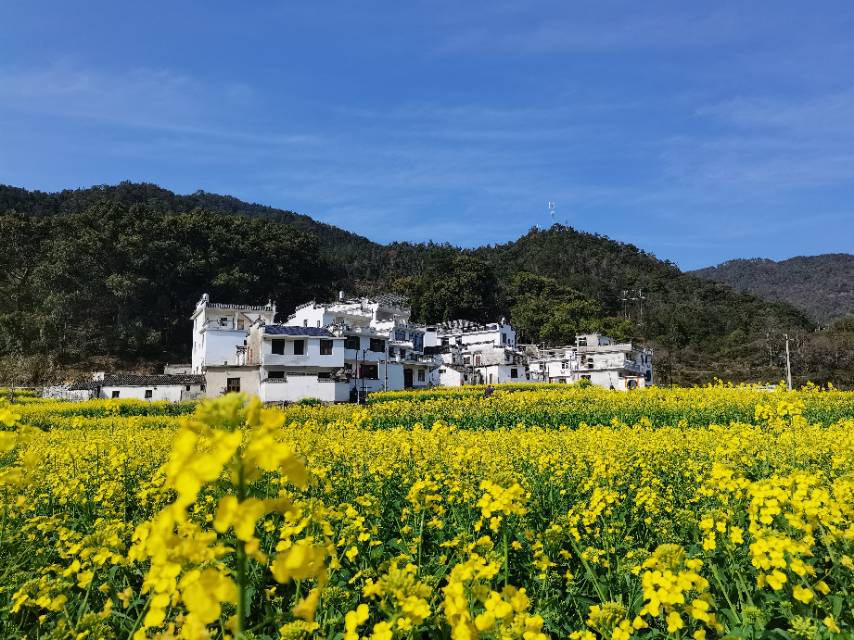 长滩村