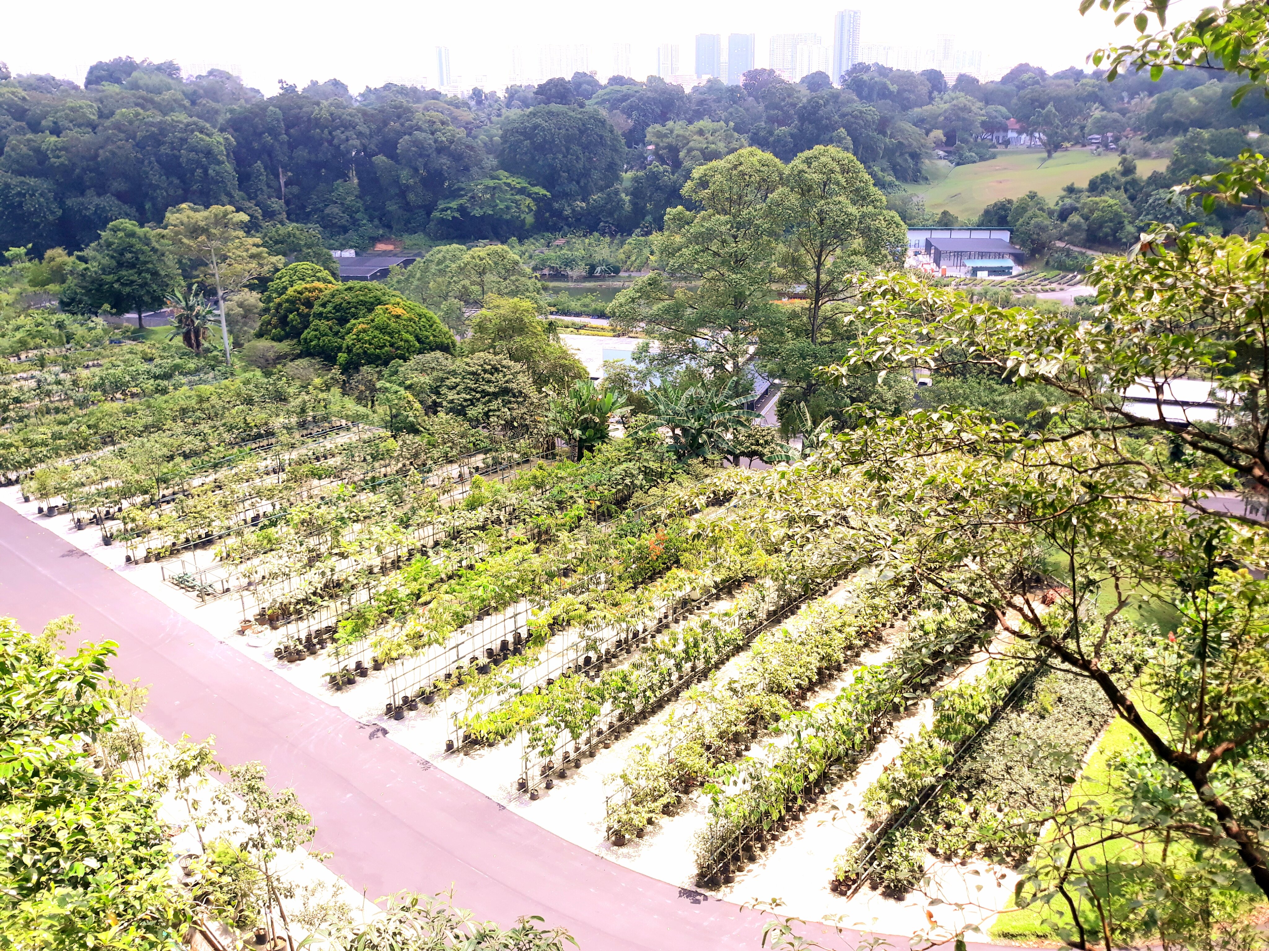 肯特岗公园