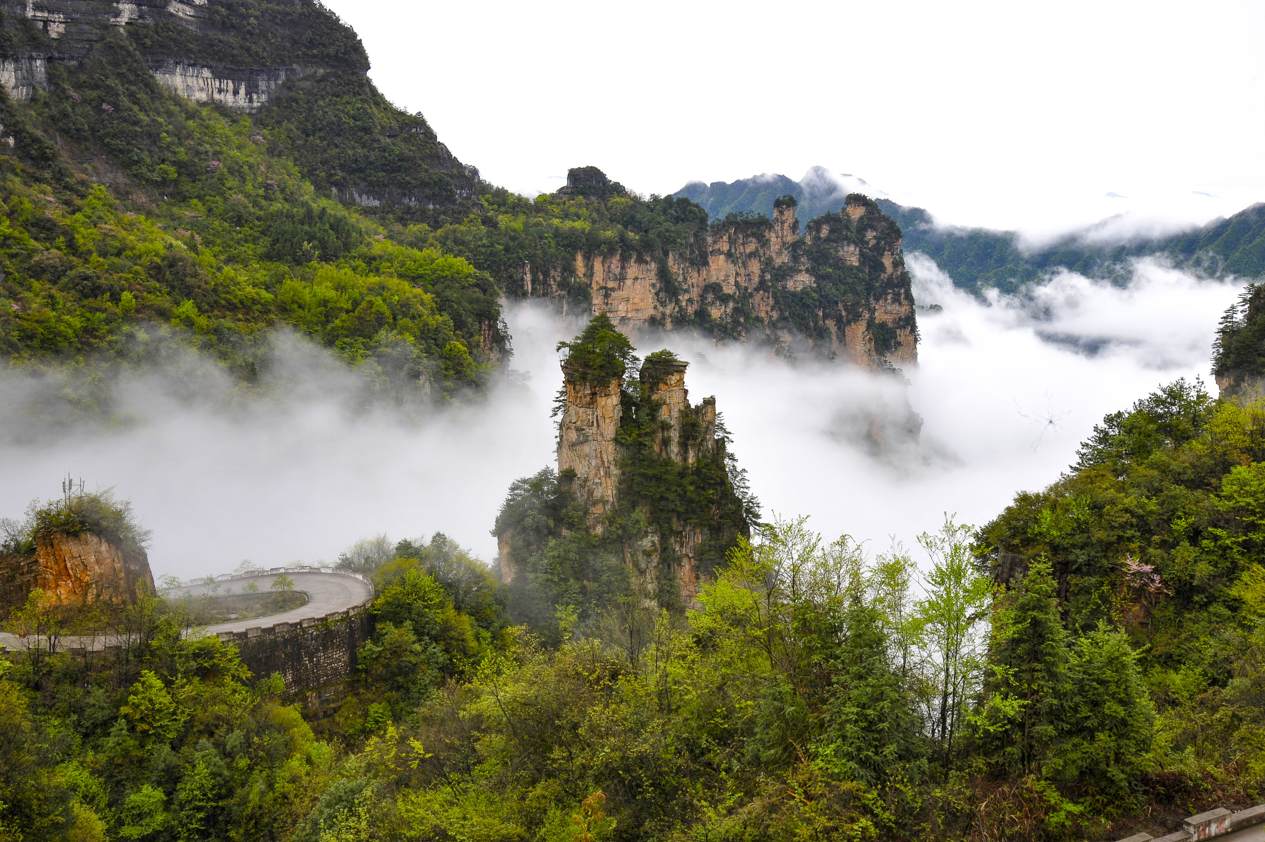 黄龙泉