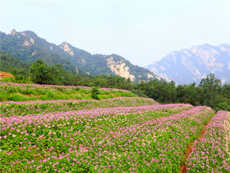 昆嵛山泰礴顶