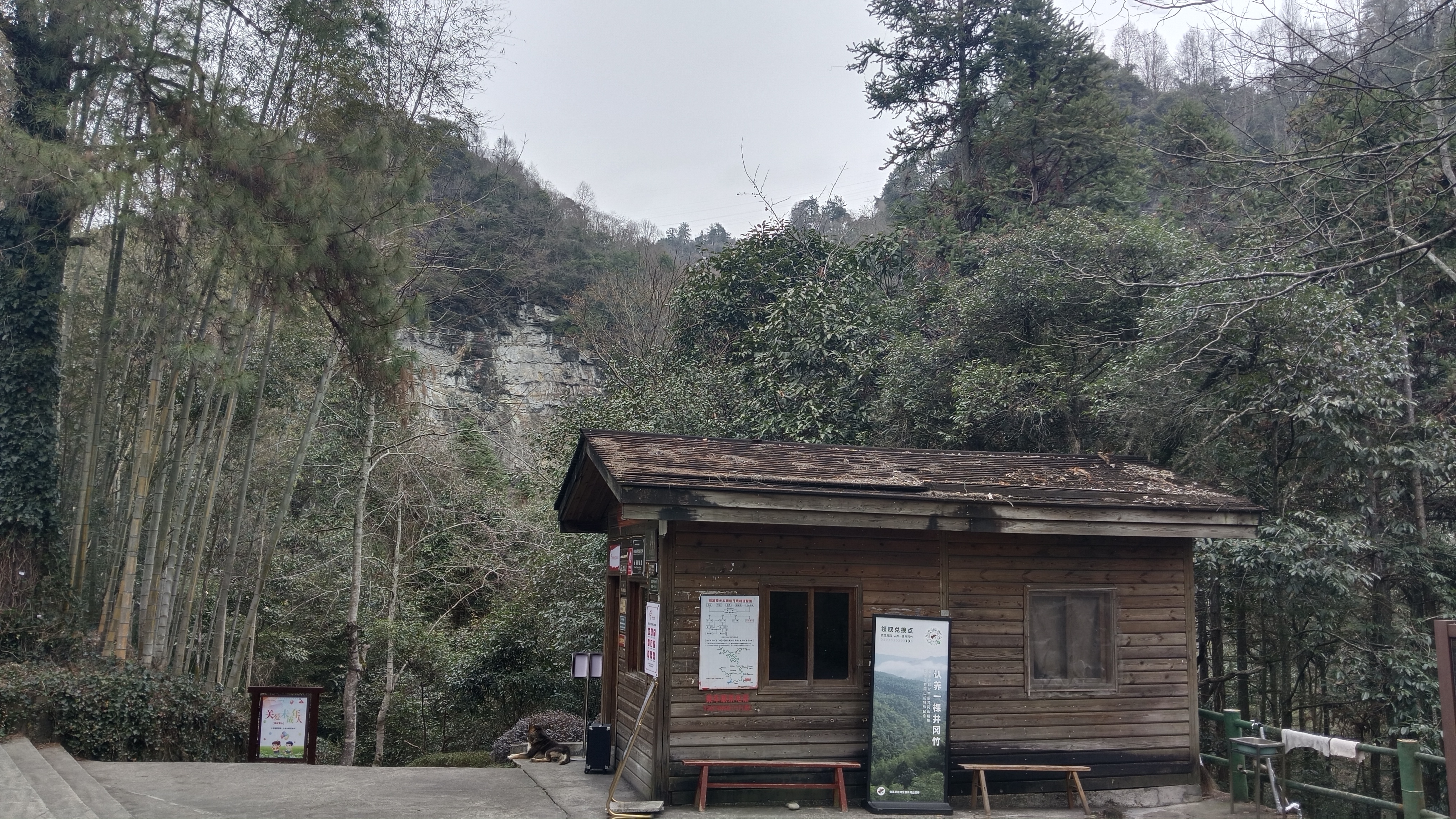 五马朝天