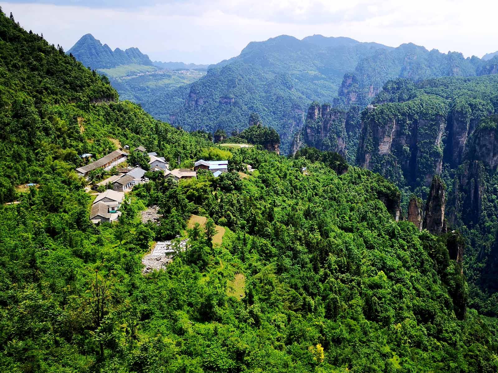 丁香榕村