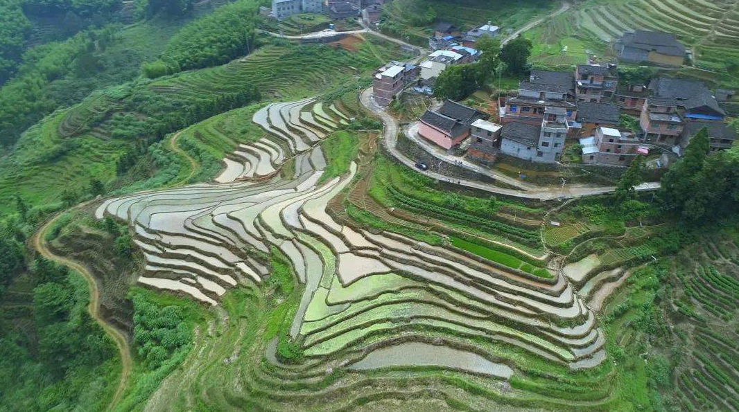 竹海梯田