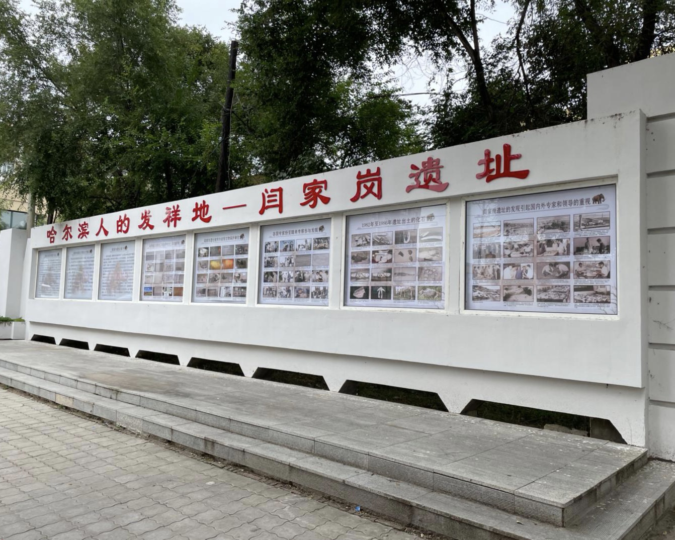 阎家岗旧石器时代遗址