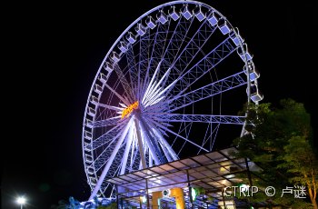 曼谷夜市摩天轮