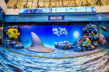 曼谷暹罗海洋世界